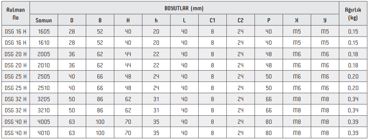 DSG Ball Screw Housing