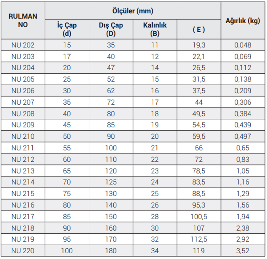 OBR NU 300 Series Bearings