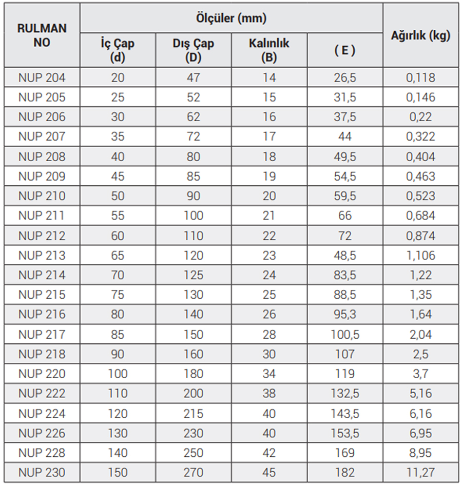 OBR NUP 200 Serisi Rulmanlar