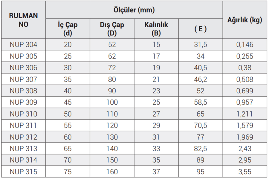 OBR NUP 2300 Series Bearings